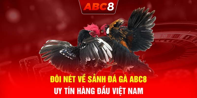 Đôi nét về sảnh đá gà ABC8